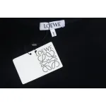 Loewe Web Embroidery Crew Neck Hoodie