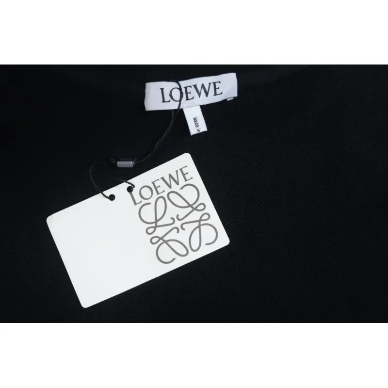 Loewe Web Embroidery Crew Neck Hoodie