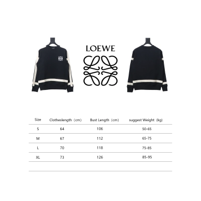 Loewe Web Embroidery Crew Neck Hoodie 02