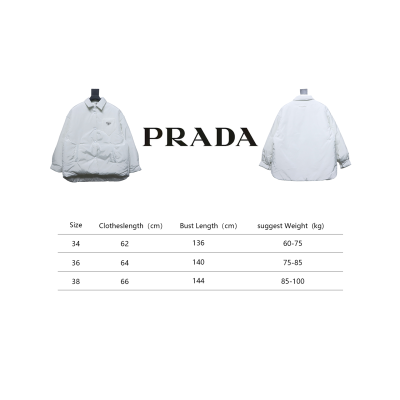Prada 23FW Nylon Basic Padded Jacket 02