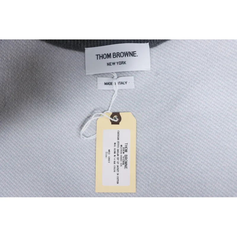 Thom Browne 20FW Tokyo Limited Edition Puppy Crew Neck Sweater Light Grey