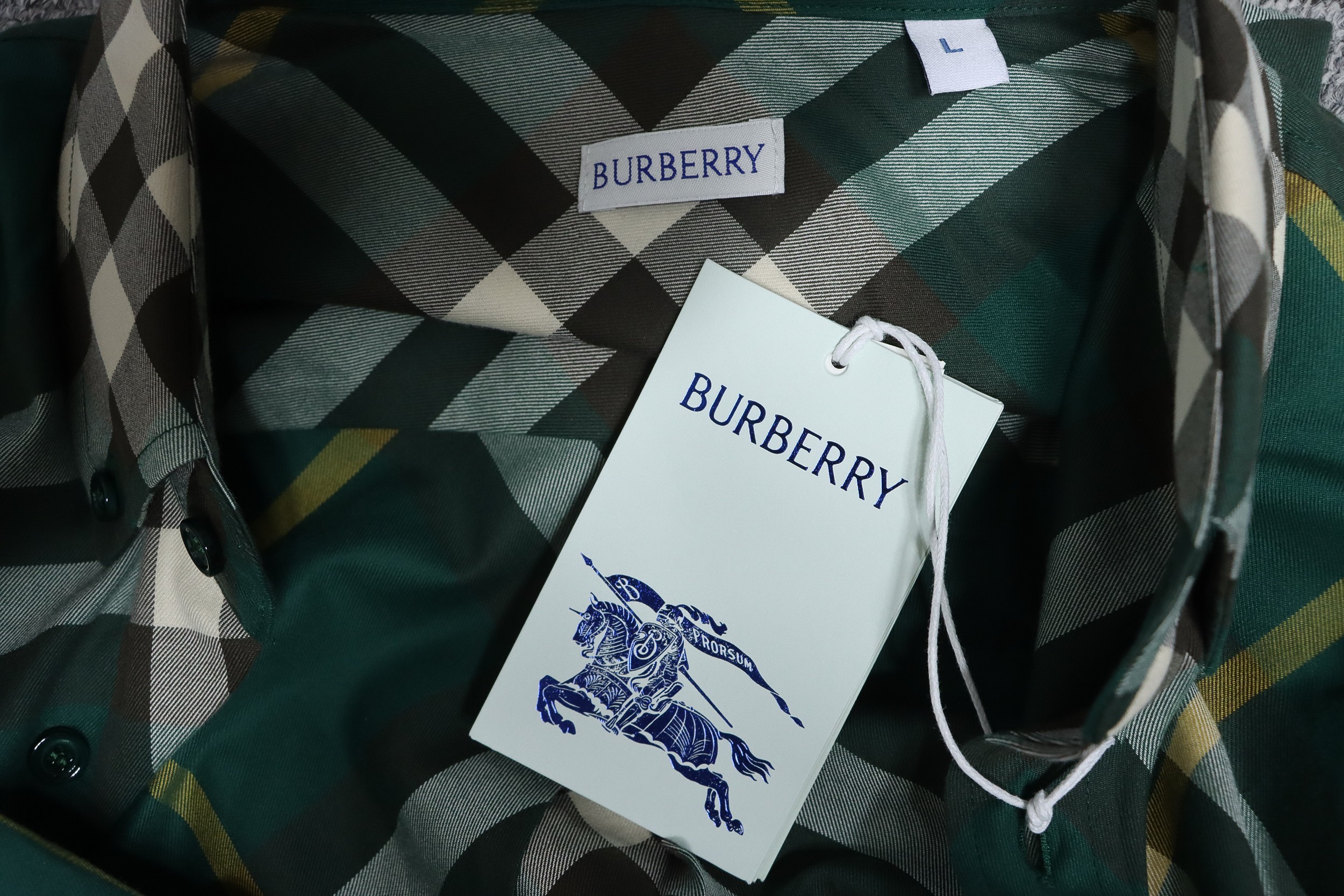 Burberry 24Fw Large Check Cotton Shirt Green
