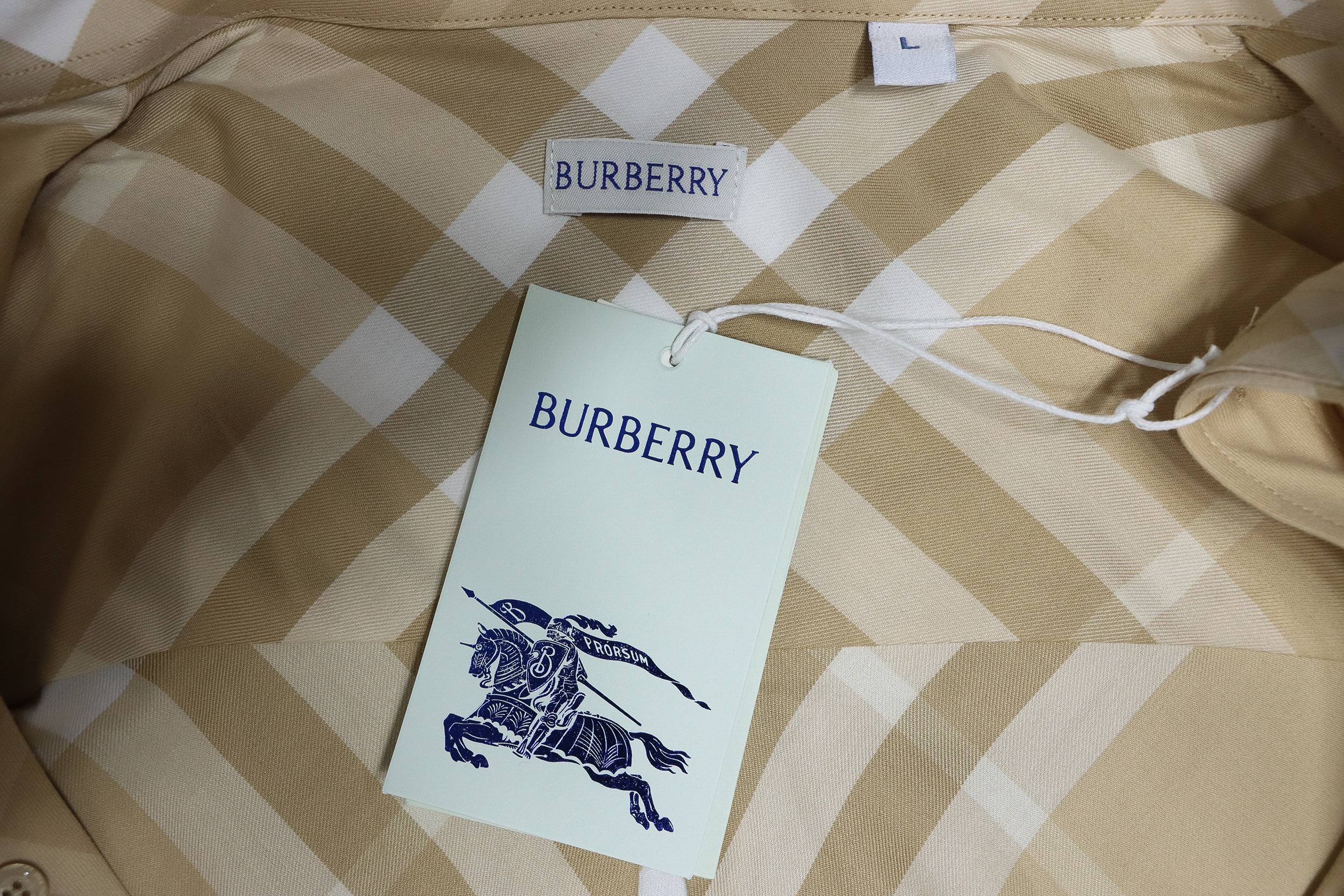 Burberry 24Fw Large Check Cotton Shirt Yellow