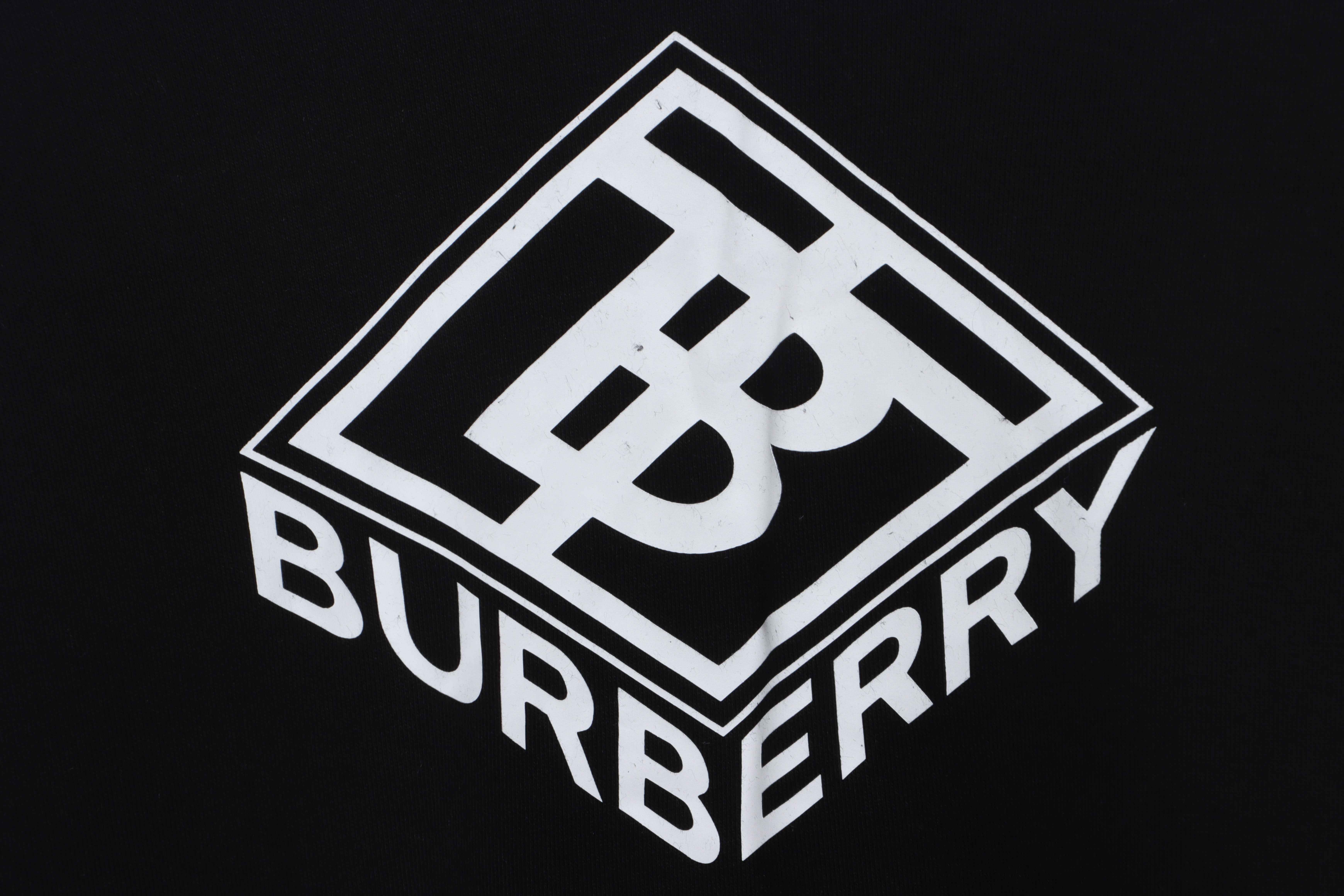 Burberry Geometric Logo Hoodie