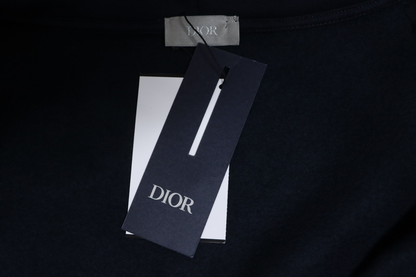 Dior 24ss Little Dinosaur Embroidered Zipper Jacket