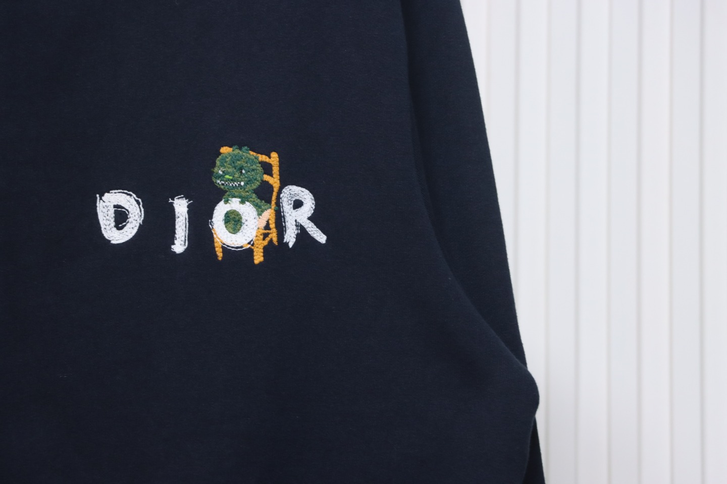 Dior 24ss Little Dinosaur Embroidered Zipper Jacket
