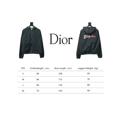 Dior Embroidered Lettering Bumblebee Hooded Jacket Green Grey 02