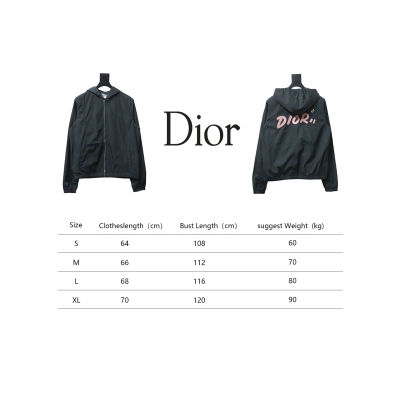 Dior Embroidered Lettering Bumblebee Hooded Jacket Green Grey 02
