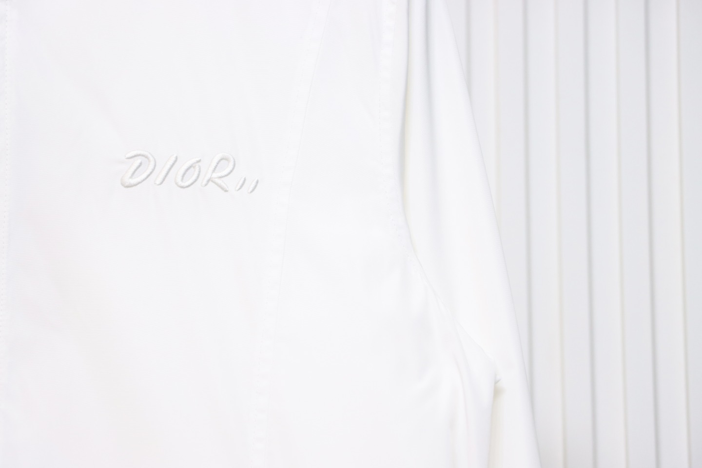 Dior Embroidered Lettering Bumblebee Hooded Jacket White