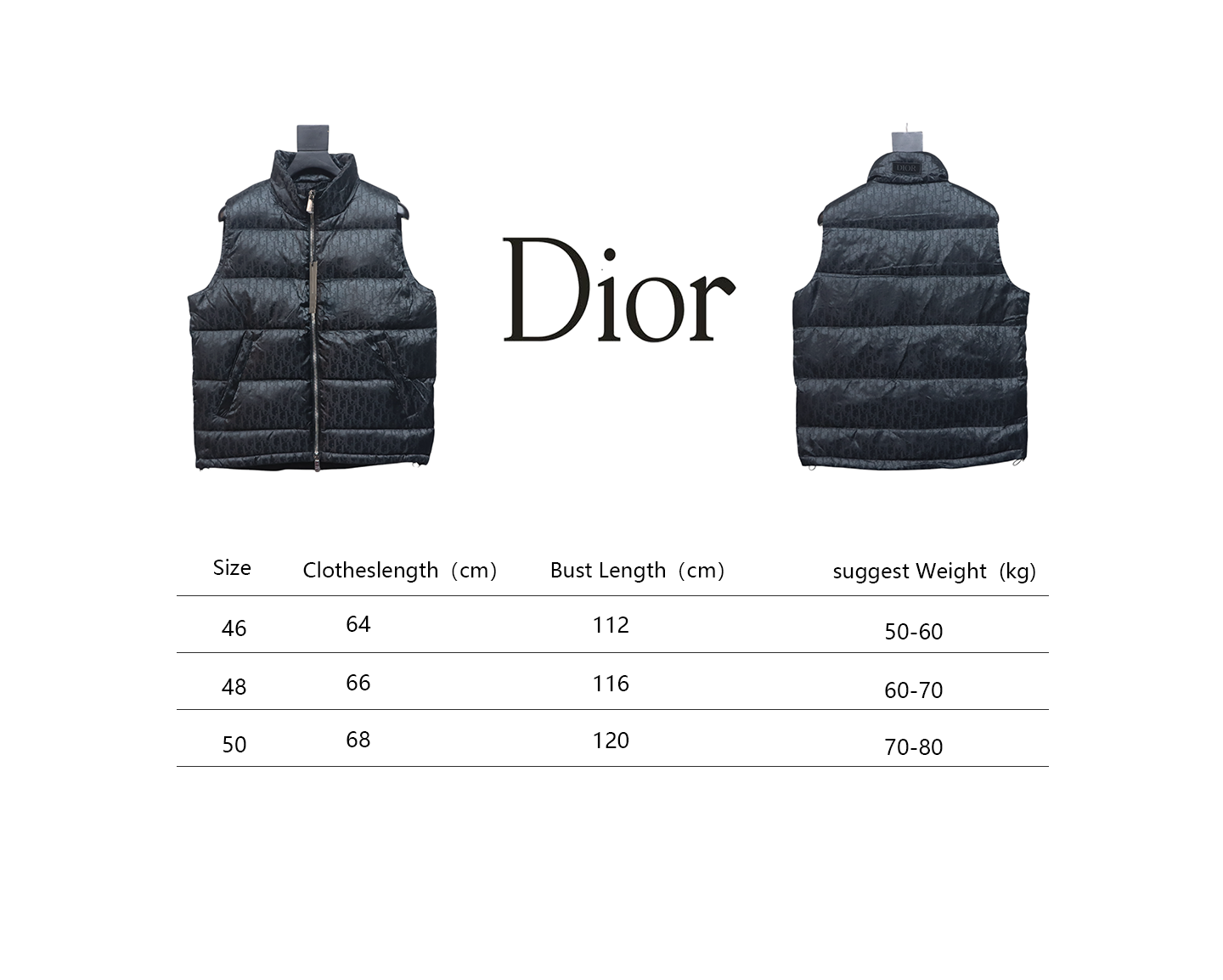 Dior Full Pattern Dark Pattern Down Vest