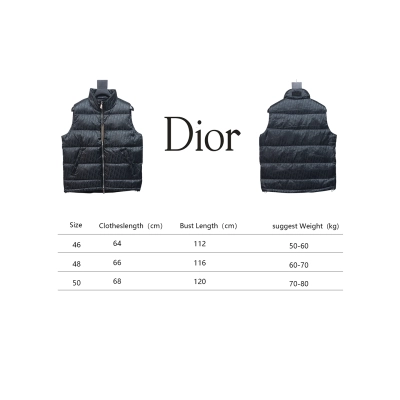 Dior Full Pattern Dark Pattern Down Vest 02