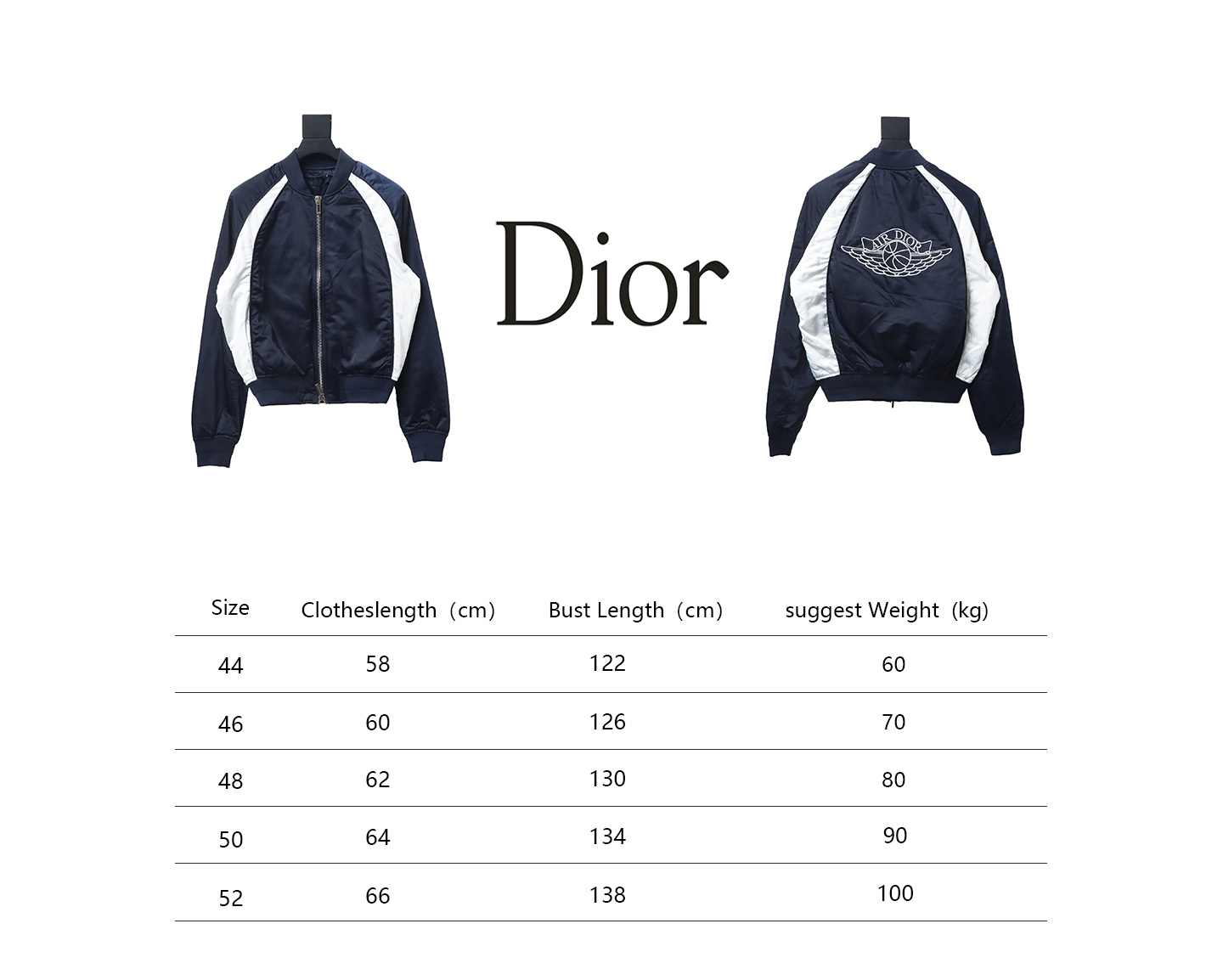 Dior x Jordan Wings Embroidered Deep Silver Flight Jacket Dark Blue