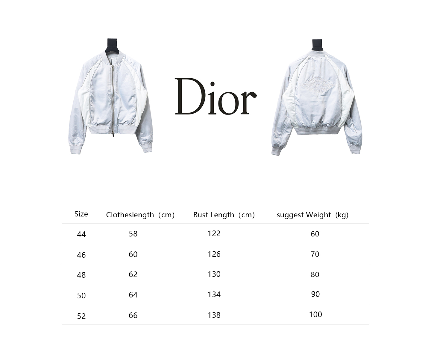 Dior x Jordan Wings Embroidered Deep Silver Flight Jacket White
