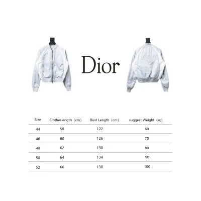 Dior x Jordan Wings Embroidered Deep Silver Flight Jacket White 02