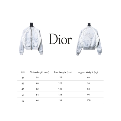 Dior x Jordan Wings Embroidered Deep Silver Flight Jacket White 02