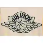 (Special Offer) Dior x Jordan LOGO Jacquard Sweater Apricot
