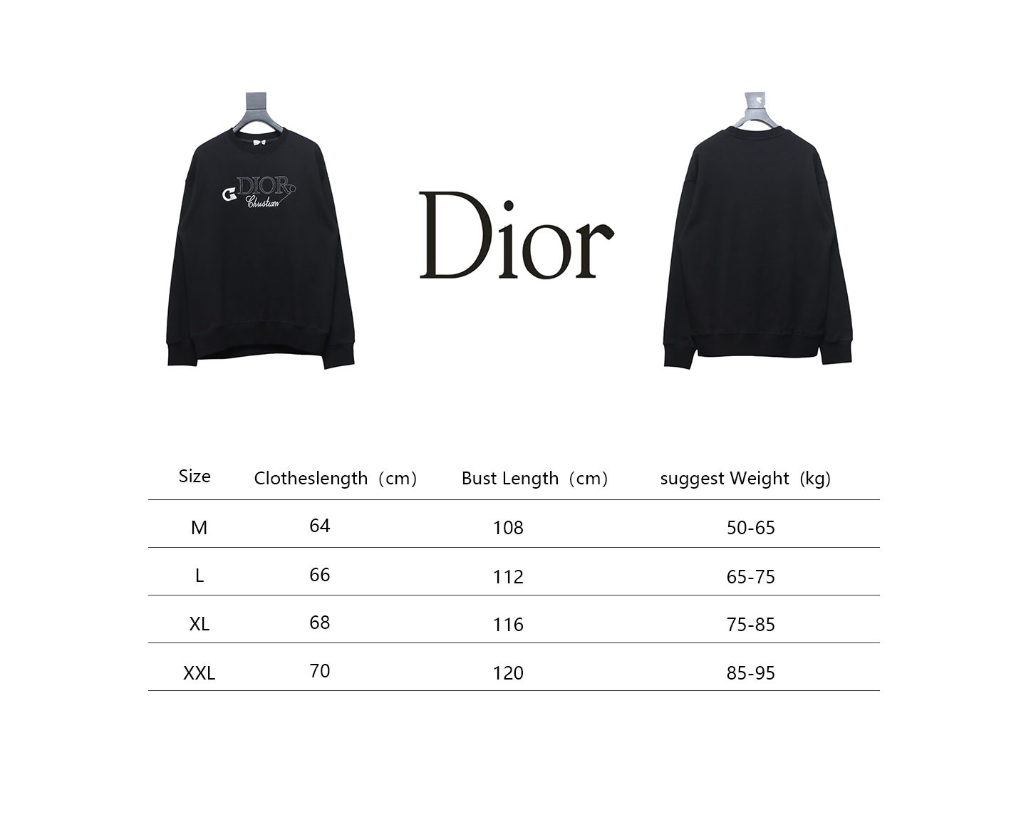 Dior 24Fw Embroidered Pin Lettering Crew Neck Sweatshirt Black