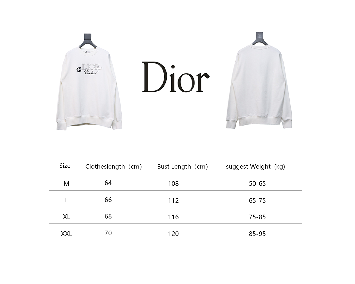 Dior 24Fw Embroidered Pin Lettering Crew Neck Sweatshirt White