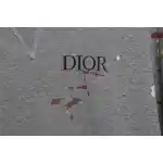 Dior Hand-Splashed Sweatshirt Gray