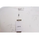 Dior Hand-Splashed Sweatshirt White