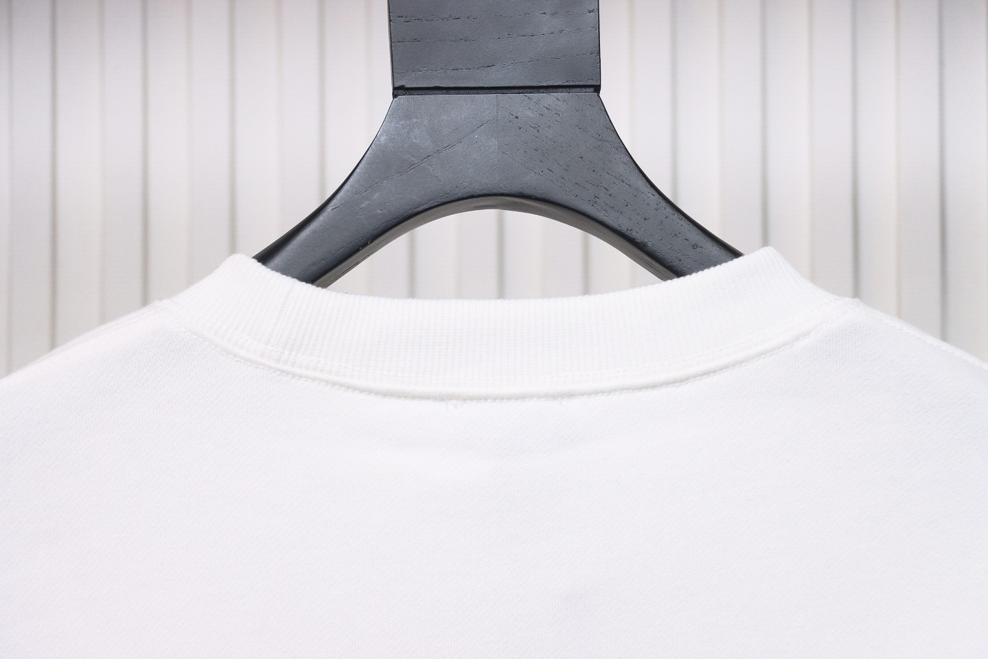 Dior Silver Logo Embroidery Round Neck Plush Sweatshirt White