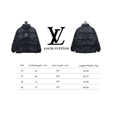 Louis Vuitton 3D Embossed Down Jacket 02