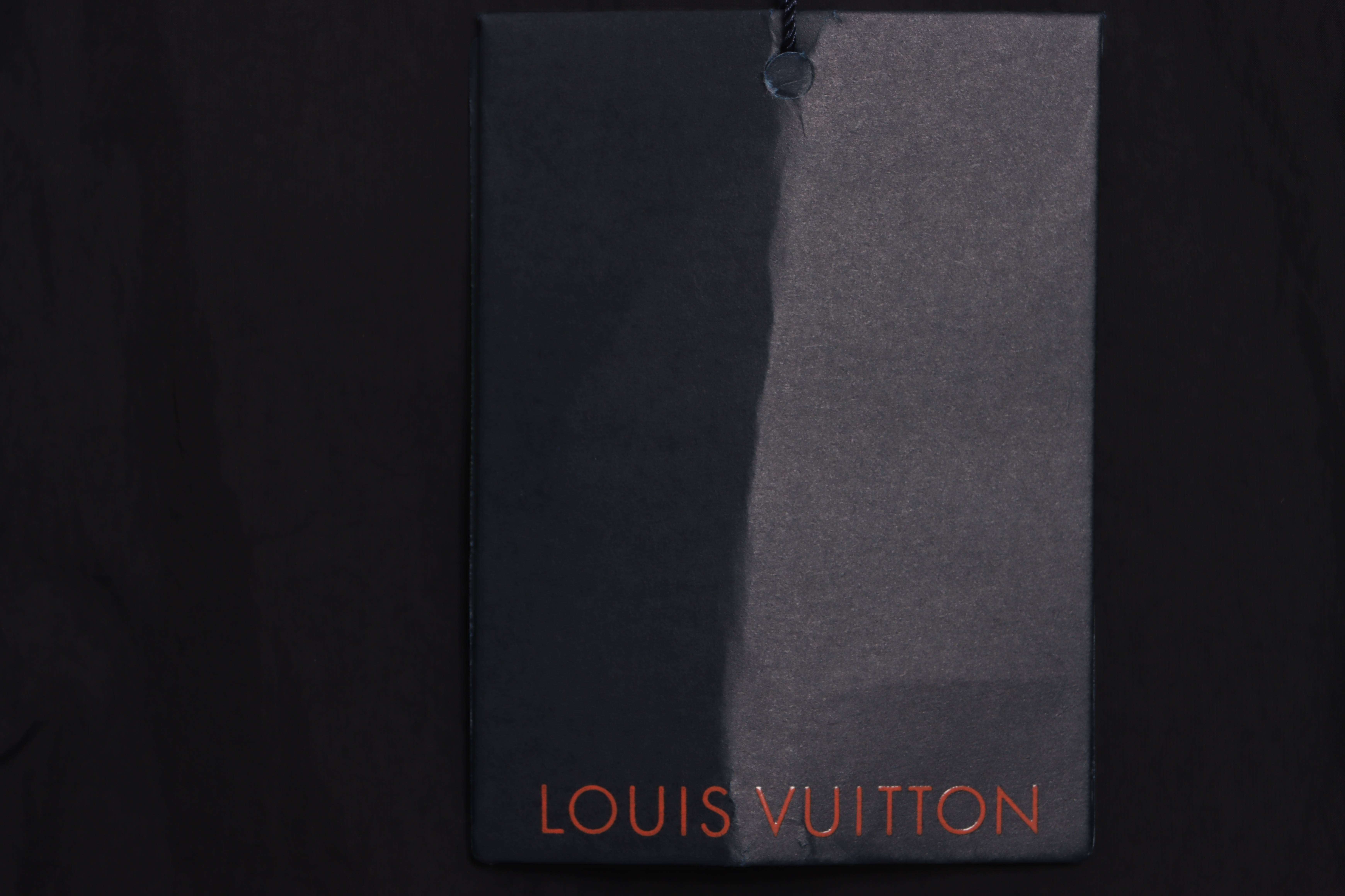Louis Vuitton Embossed Down Jacket