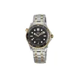 Omega Seamaster Diver 300M Yellow Gold & Steel Men's Watch 210.20.42.20.01.002