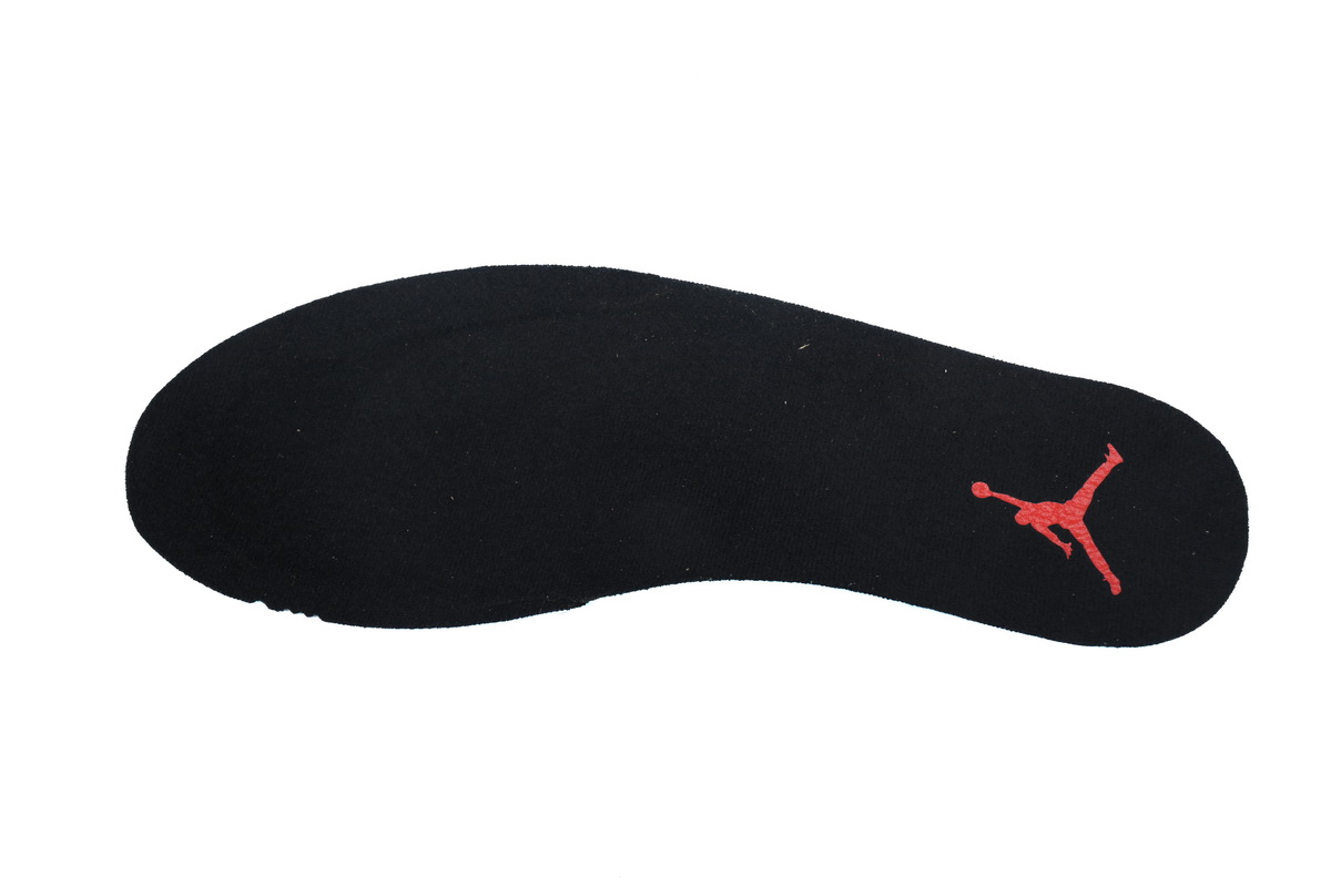 Top Version Air Jordan 12 Retro FluGame 130890-002