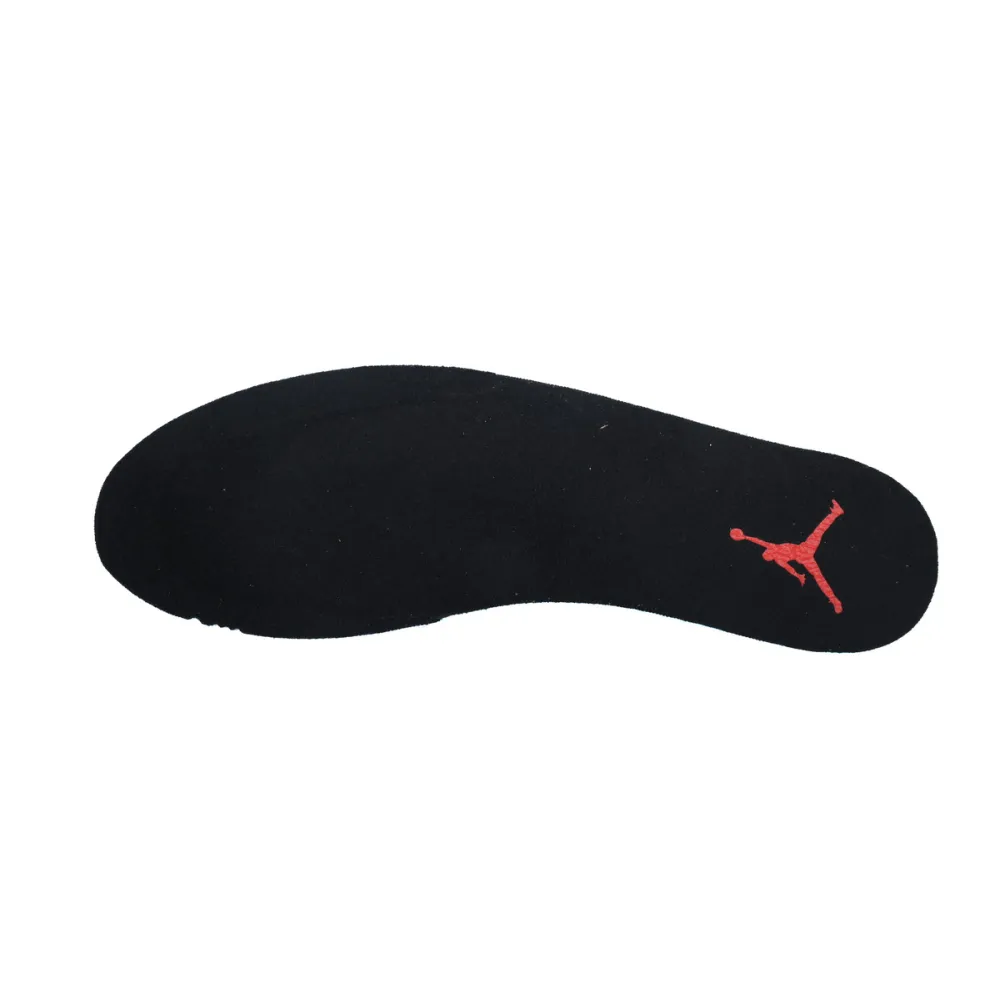 Air Jordan 12 Retro FluGame 130890-002