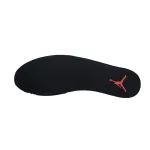 Air Jordan 12 Retro FluGame 130890-002