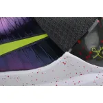 Nike Kobe 5 Protro Chaos CD4991-100