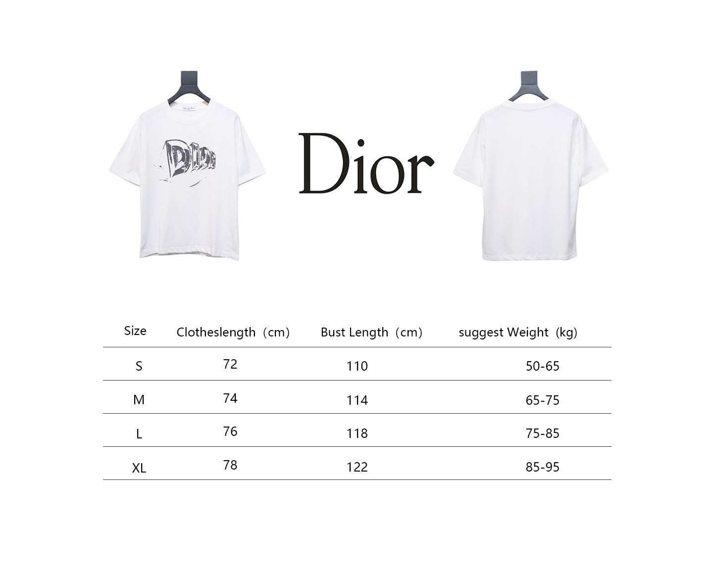 Dior 25ss hand-painted letter print short sleeve White