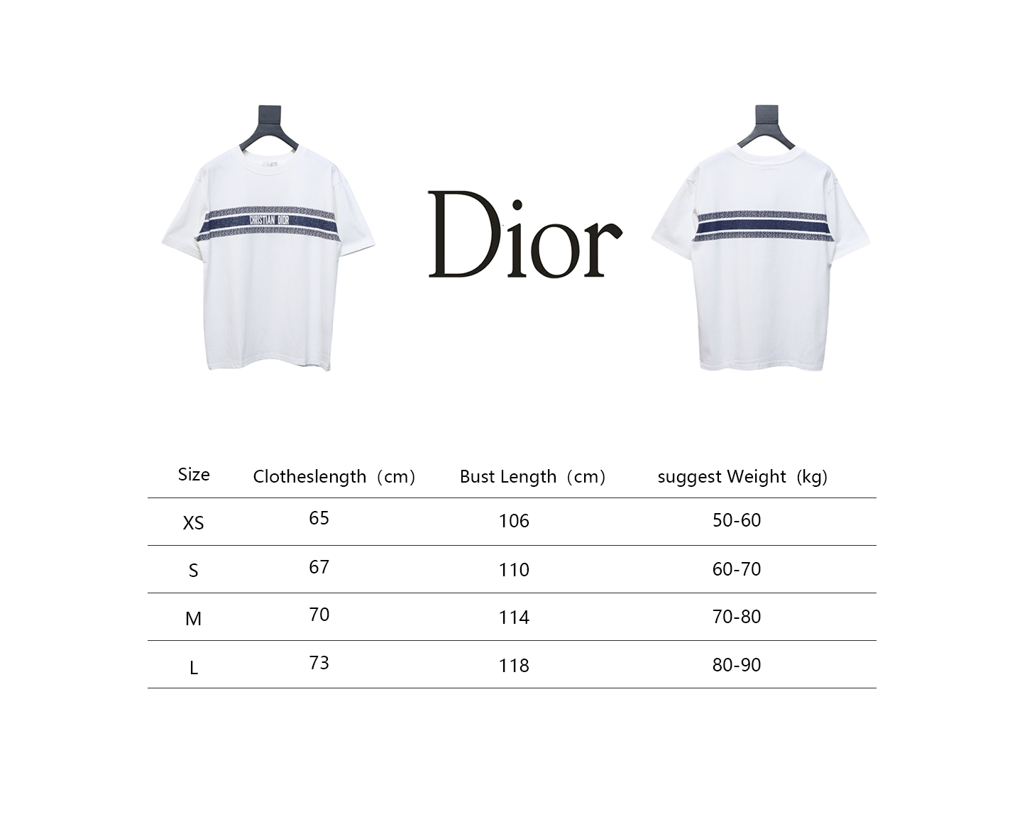 Dior 23ss blue striped letter print short sleeve white