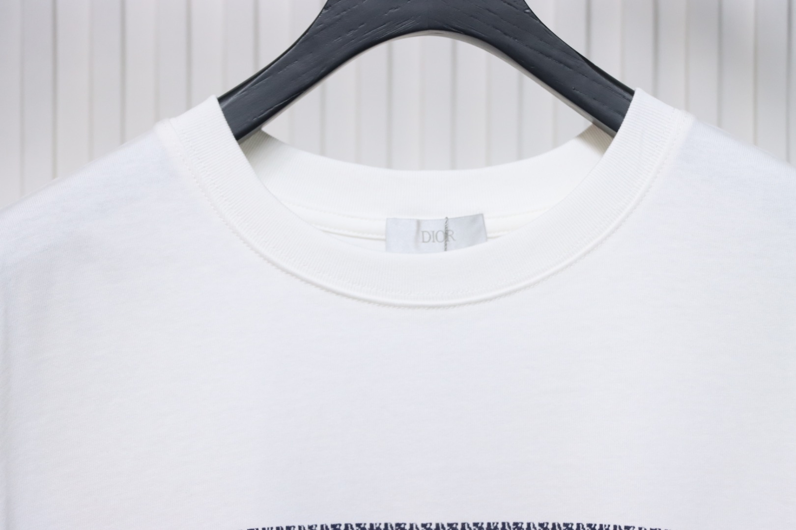 Dior 23ss blue striped letter print short sleeve white