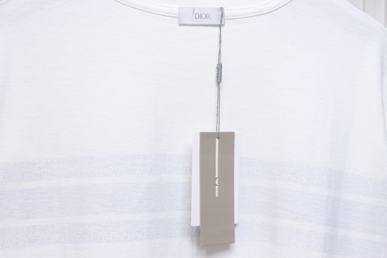 Dior 23ss blue striped letter print short sleeve white