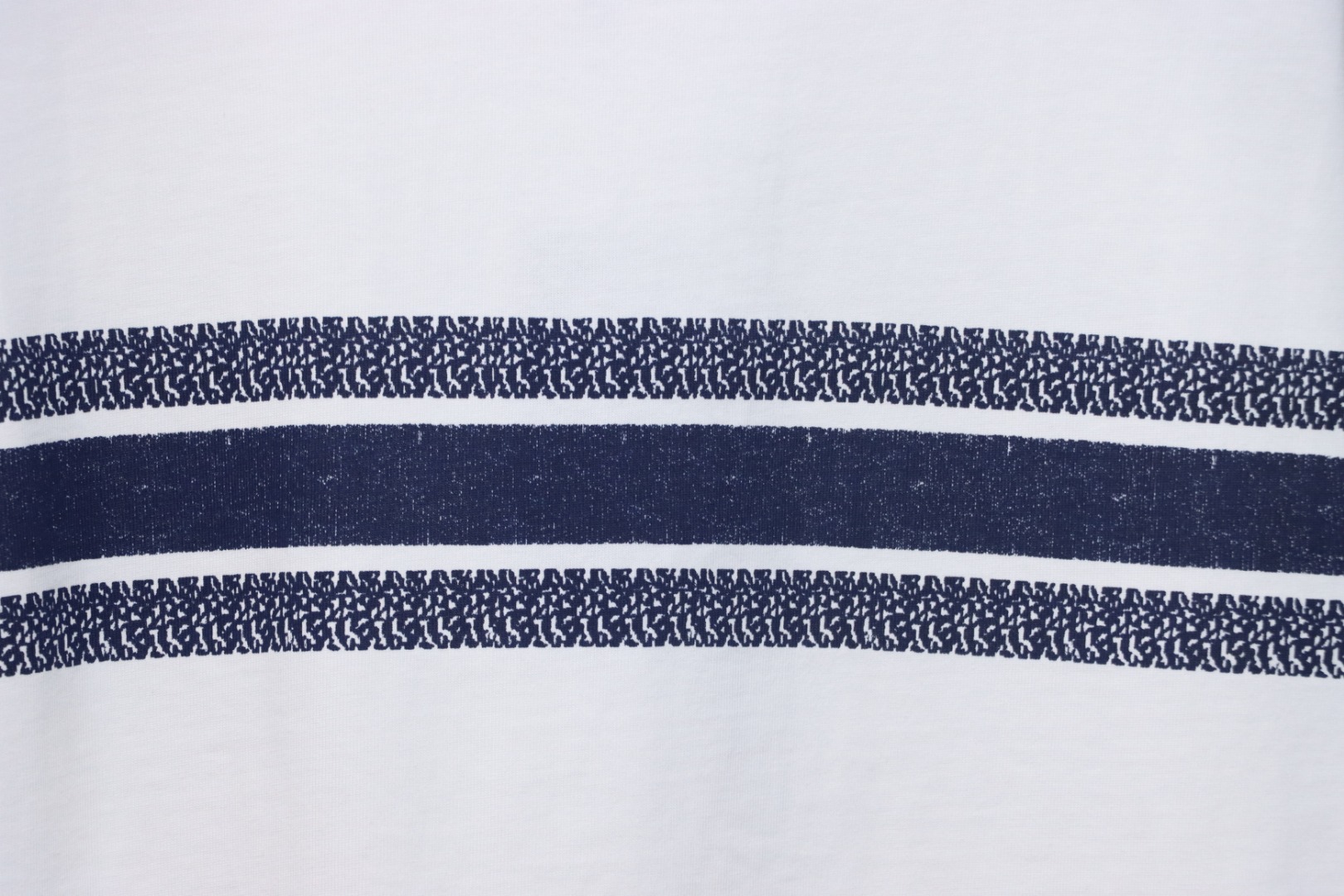 Dior 23ss blue striped letter print short sleeve white