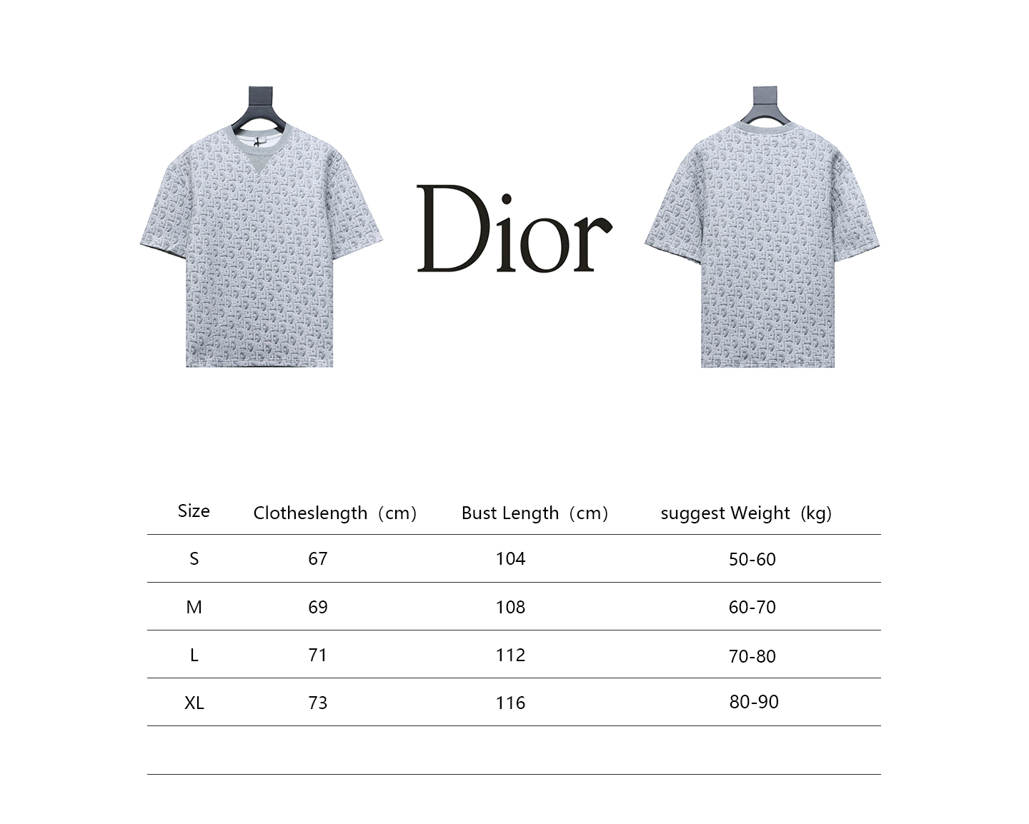 Dior 24ss full print monogram jacquard short sleeves grey