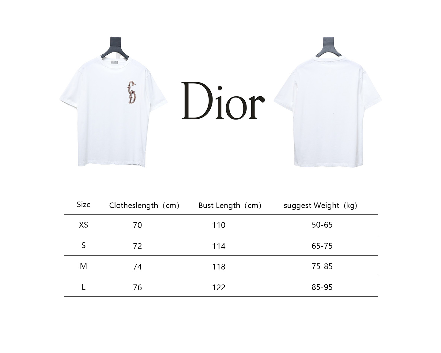 Dior 24ss gold thread embroidered CD short sleeve white 