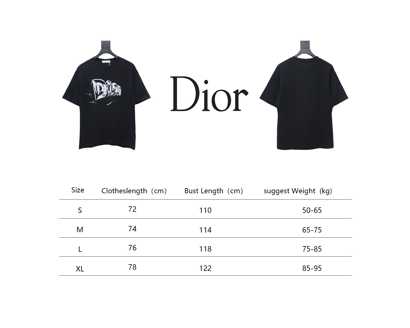Dior 25ss hand-painted letter print short sleeve black