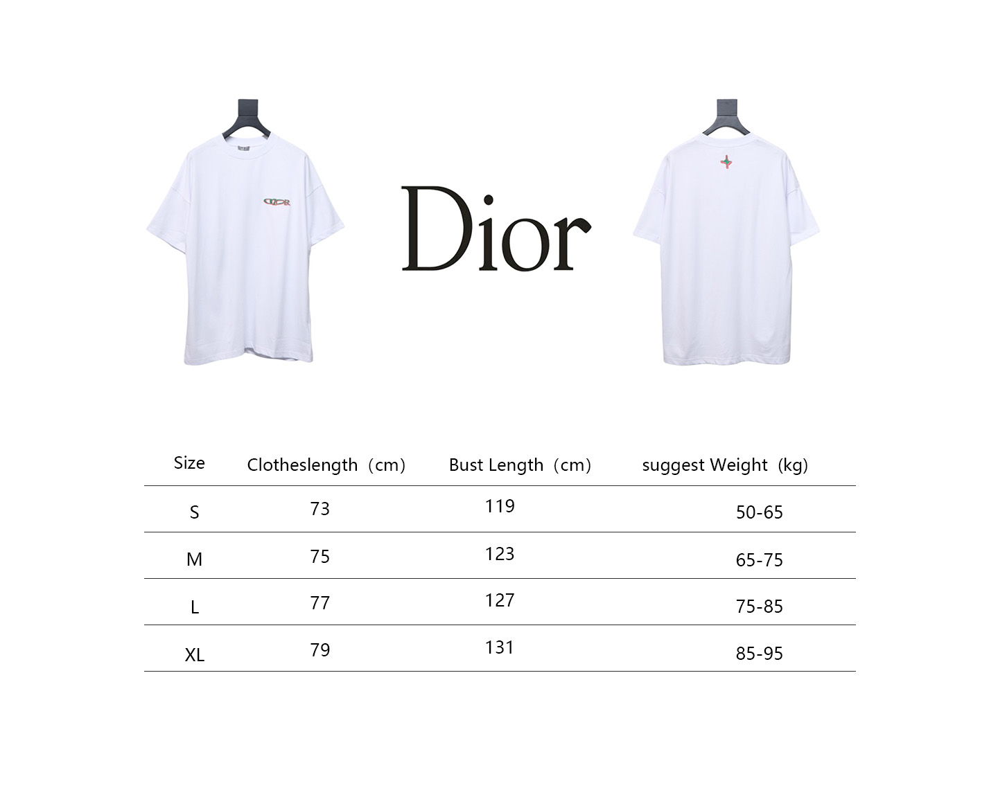 Dior 25ss Ski Collection Embroidered Logo Short Sleeve White