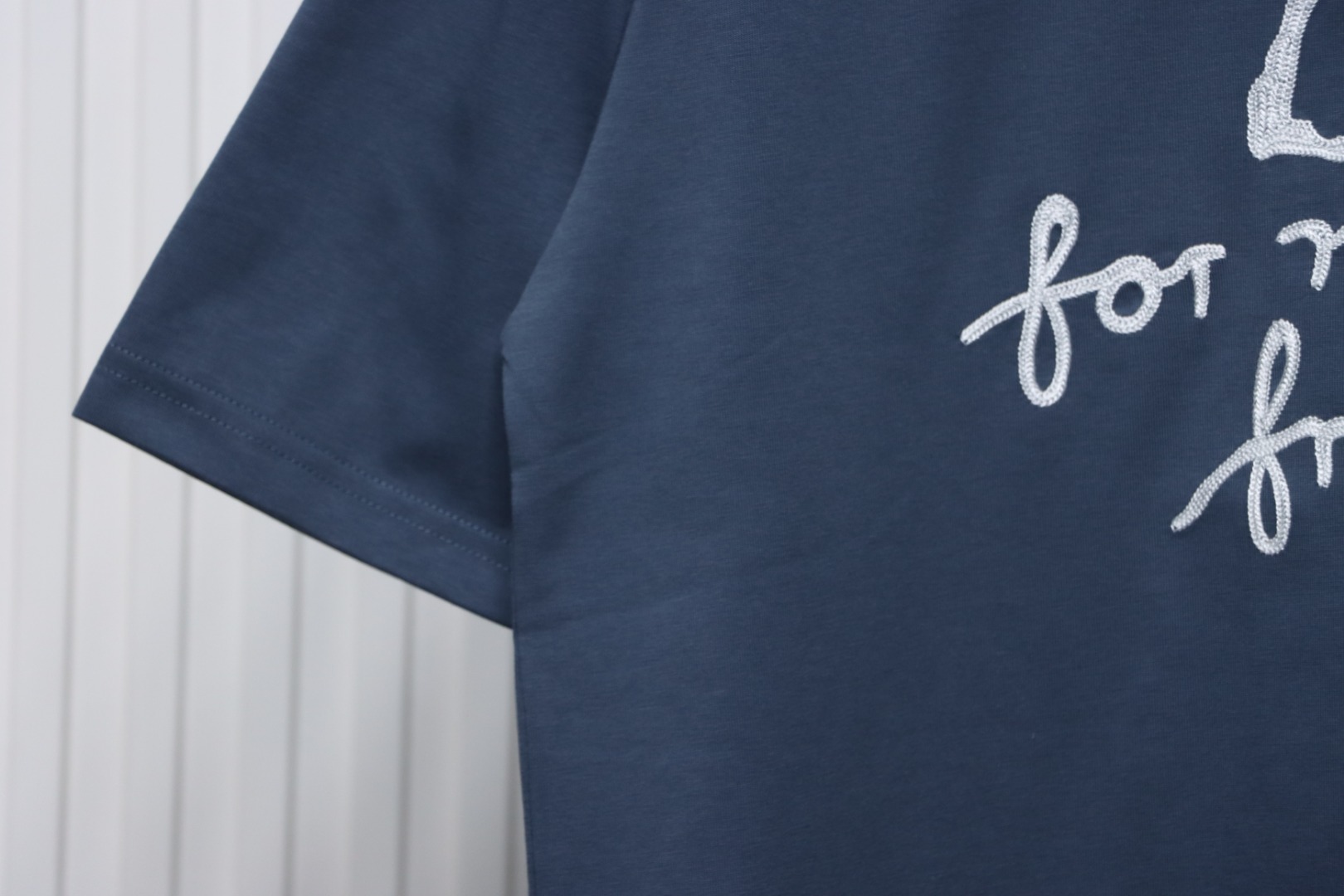 Dior And Hylton Nel joint slogan embroidered short-sleeved T-shirt Blue