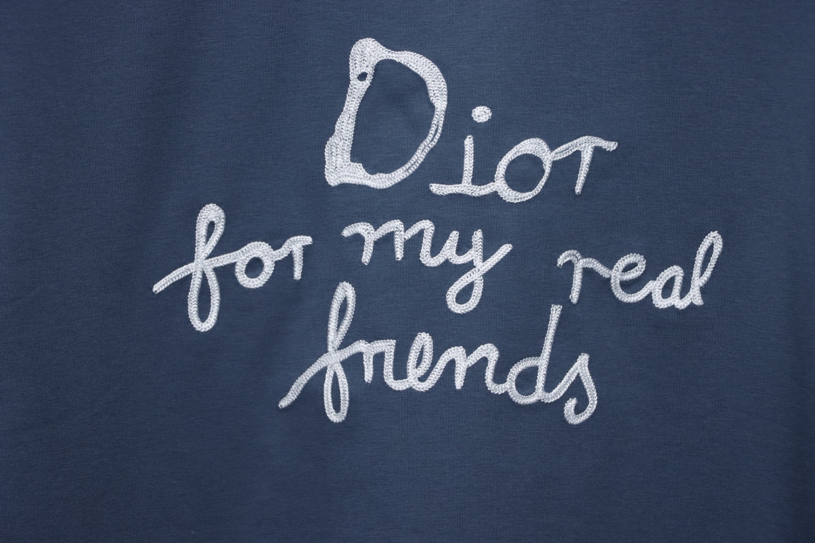 Dior And Hylton Nel joint slogan embroidered short-sleeved T-shirt Blue