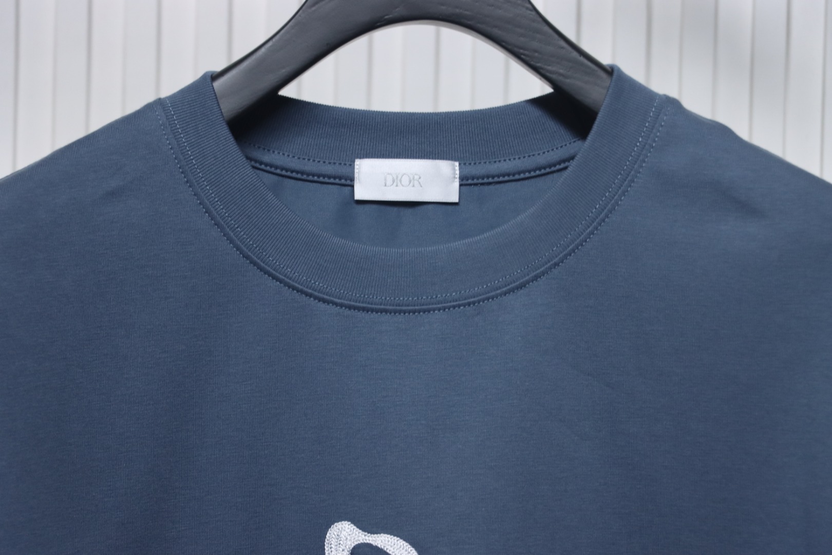 Dior And Hylton Nel joint slogan embroidered short-sleeved T-shirt Blue