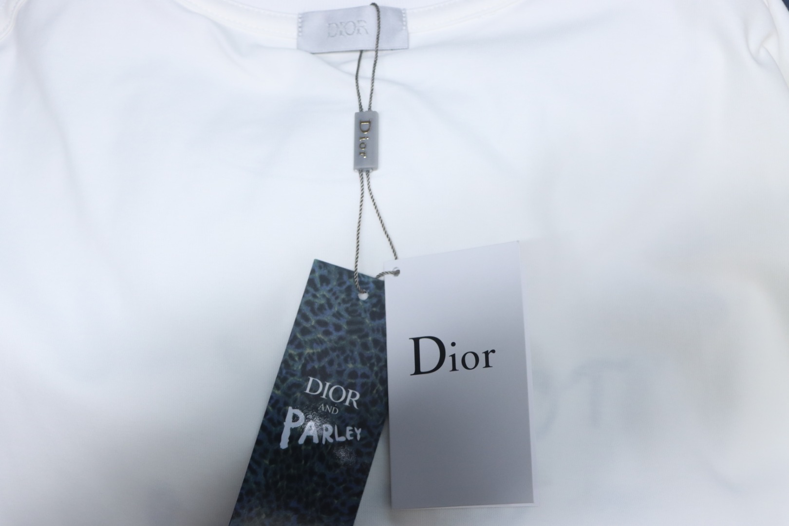 Dior And Hylton Nel joint slogan embroidered short-sleeved T-shirt white