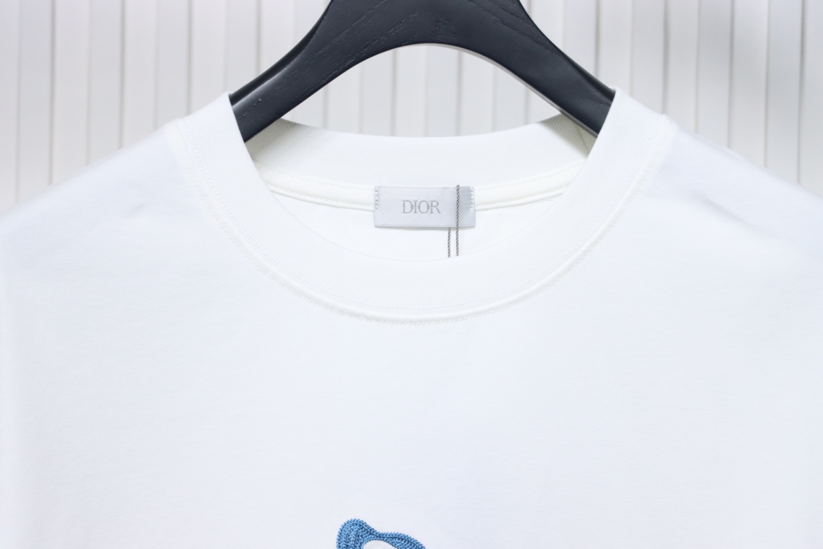 Dior And Hylton Nel joint slogan embroidered short-sleeved T-shirt white