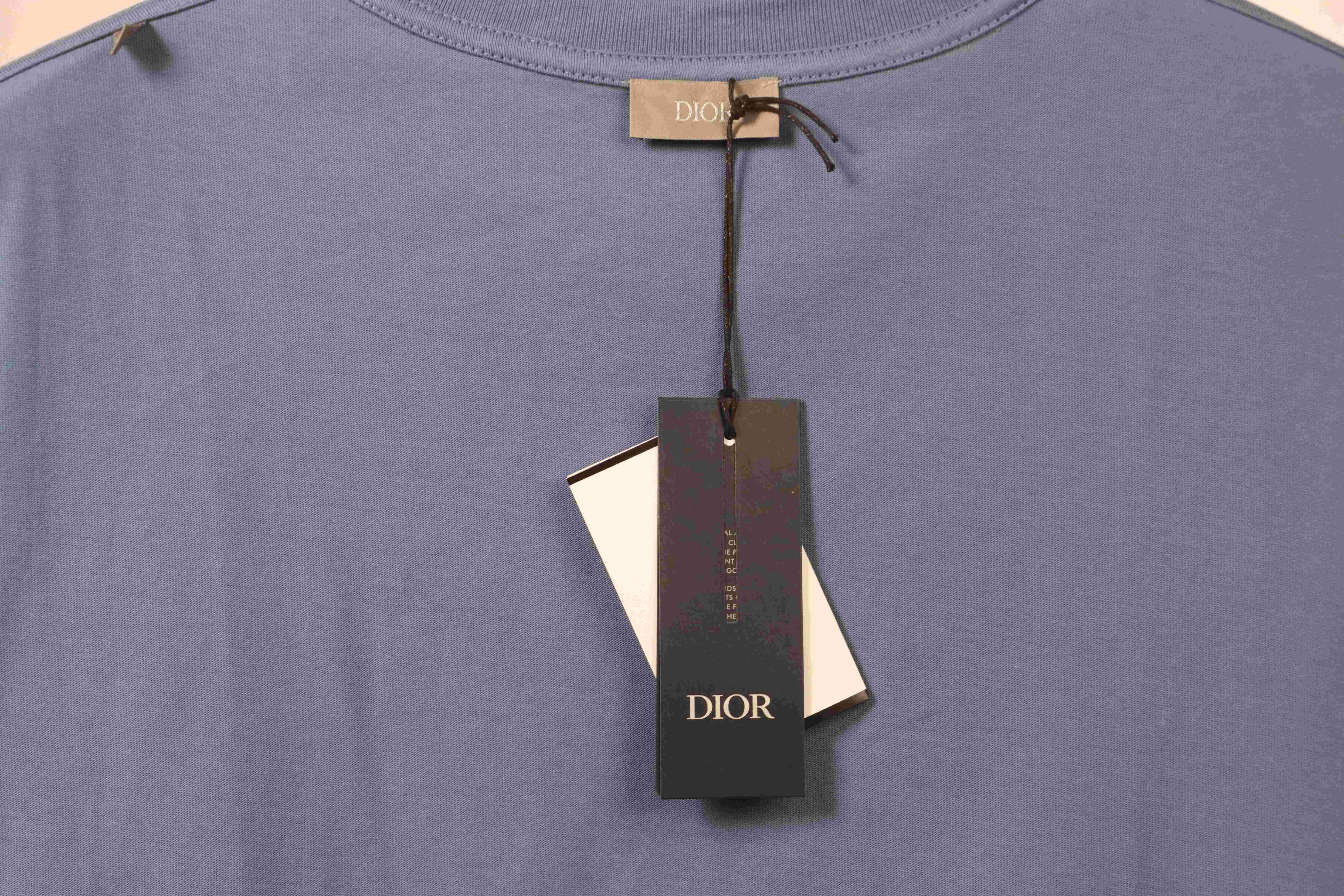 Dior Basic Letter Print Short Sleeve Blue