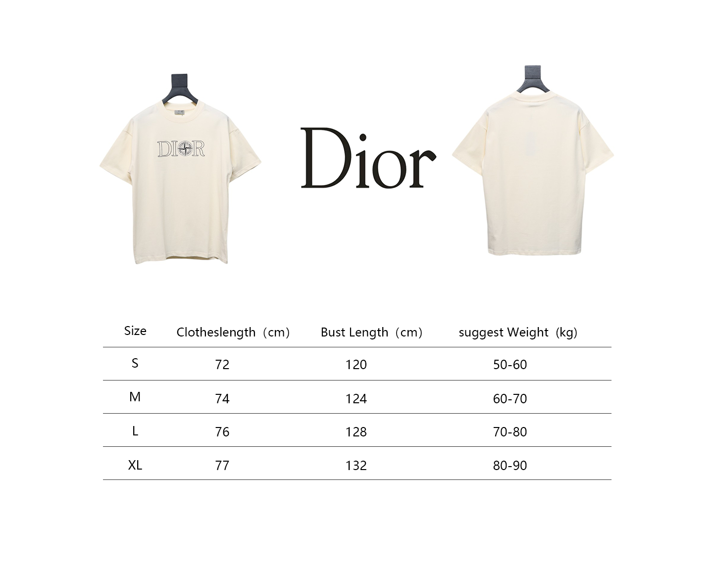 Dior CD x STONE ISLAND joint embroidered letter compass short-sleeved T-shirt