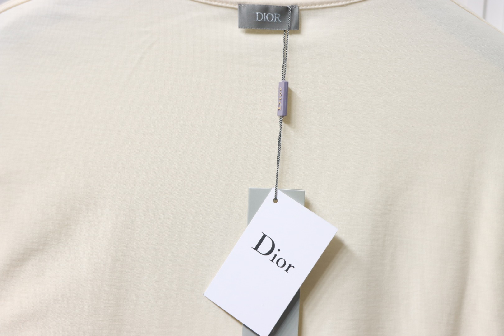 Dior CD x STONE ISLAND joint embroidered letter compass short-sleeved T-shirt