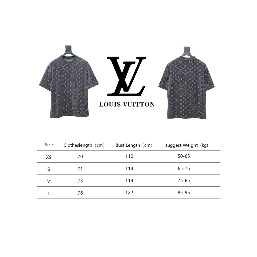 Louis Vuitton LV 25ss counter same style terry fleece round neck short-sleeved T-shirt Grey